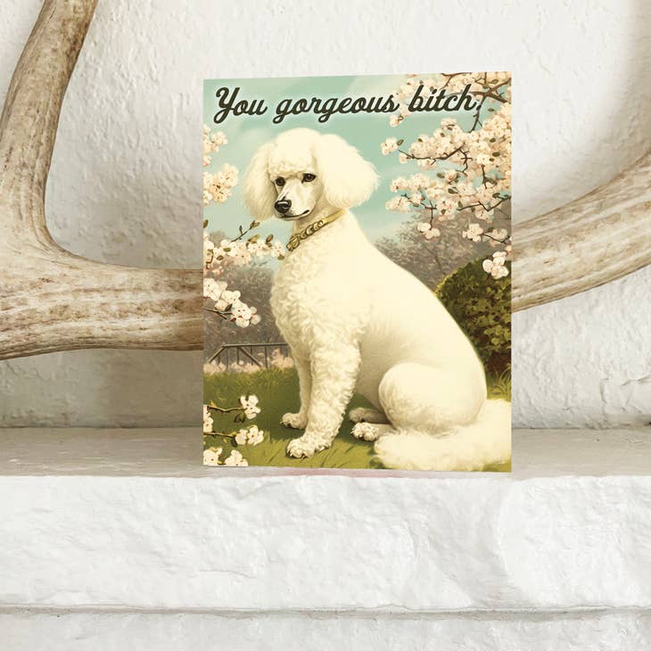 You Gorgeous Bitch Funny Dog Card