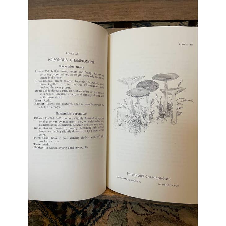 Edible Toadstools and Mushrooms & How To Distinguish Them