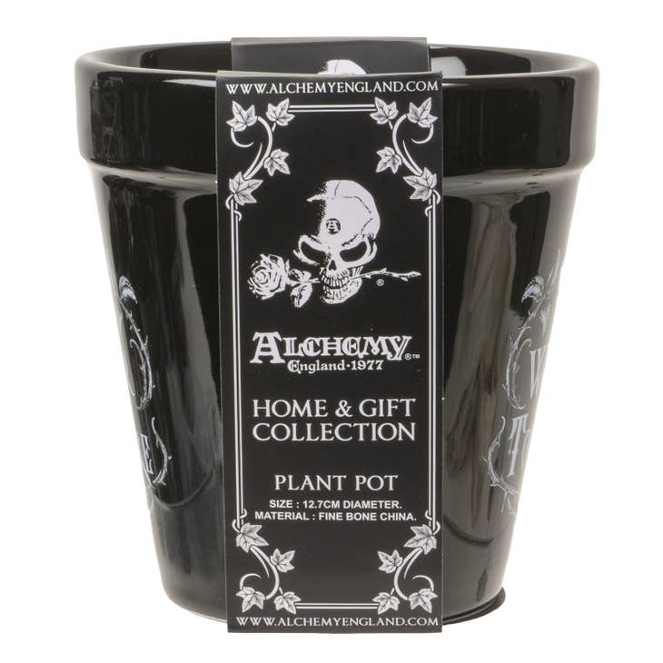 Water Don't Torture Garden Planter