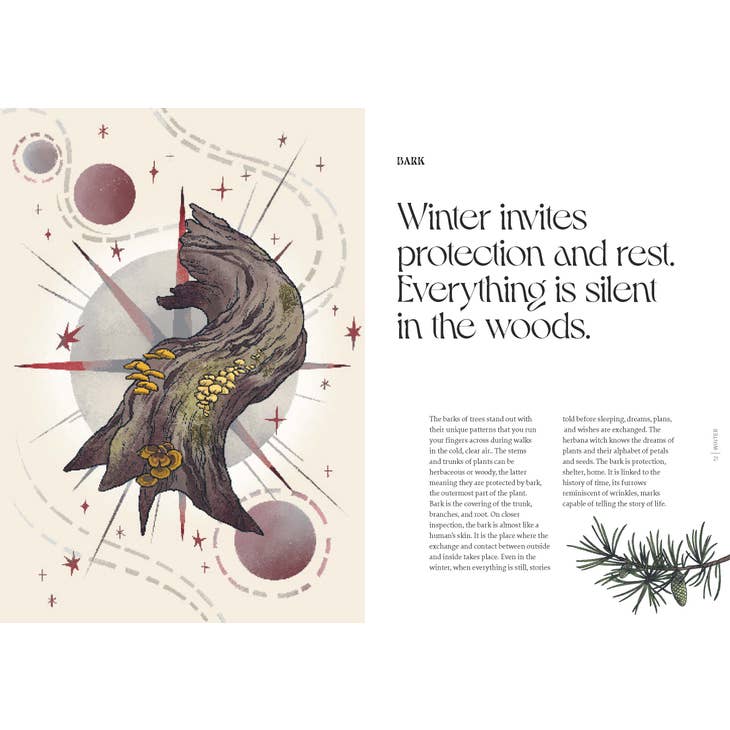 Herbana Witch: A Year in the Forest (Hardcover)