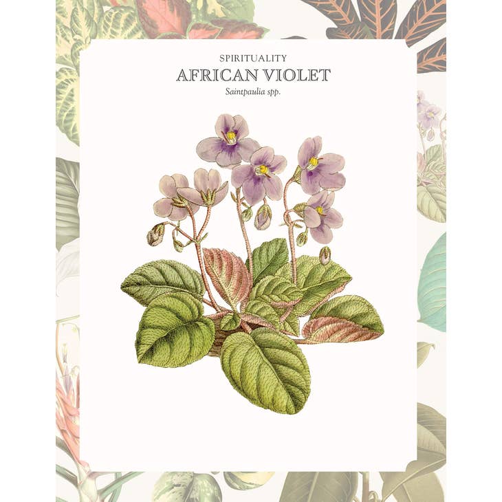 The Language of Houseplants