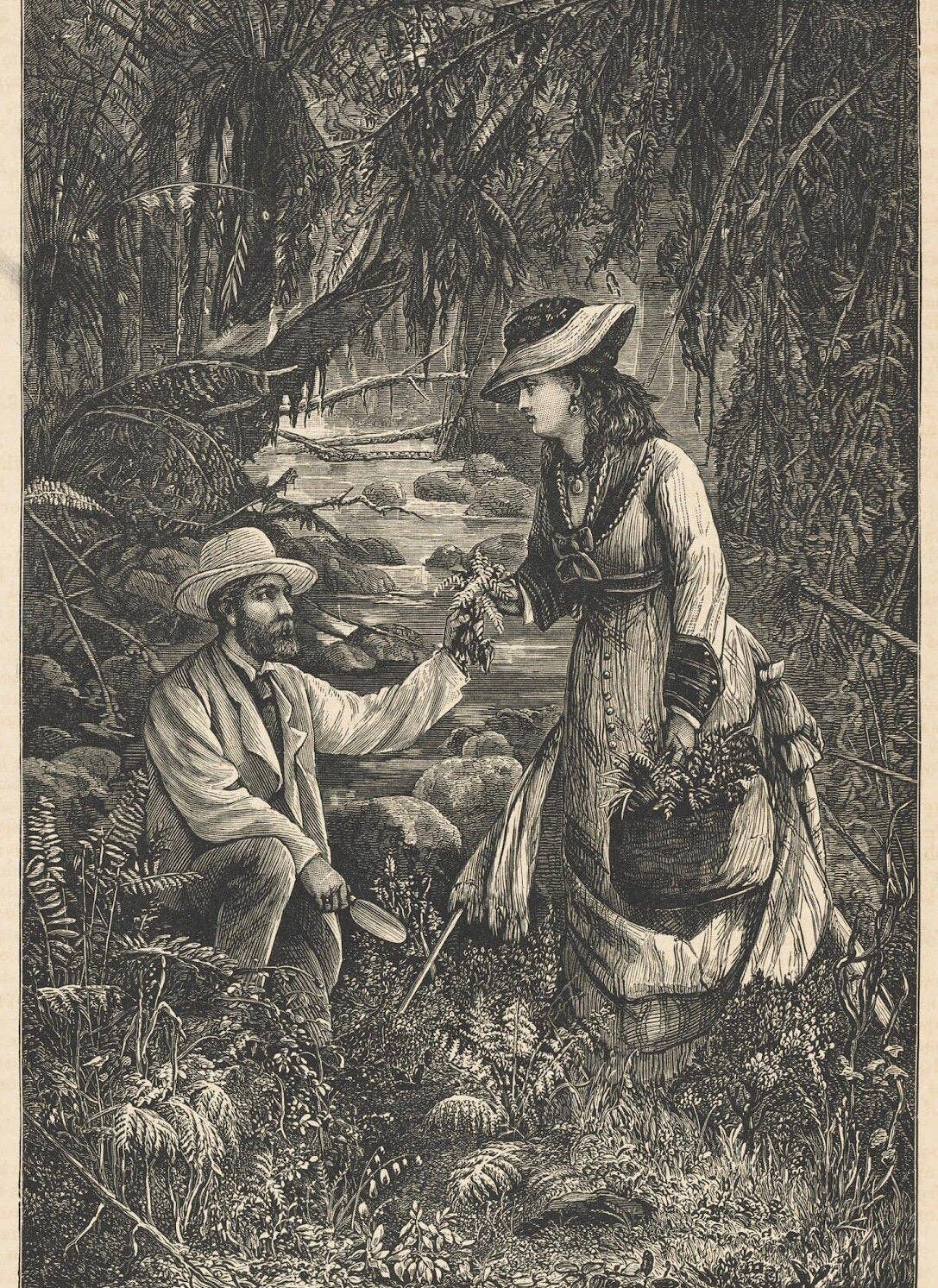 The Wardian Case Body and Room Spray- ferns