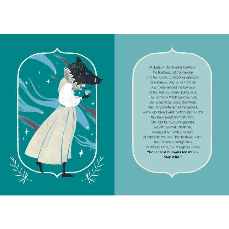 Herbana Witch: A Year in the Forest (Hardcover)