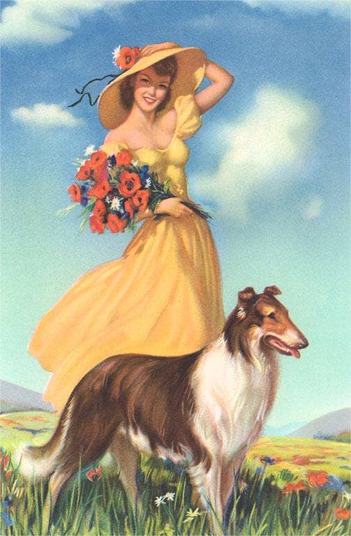 Girl with Flowers and Collie - Vintage Image, Postcard
