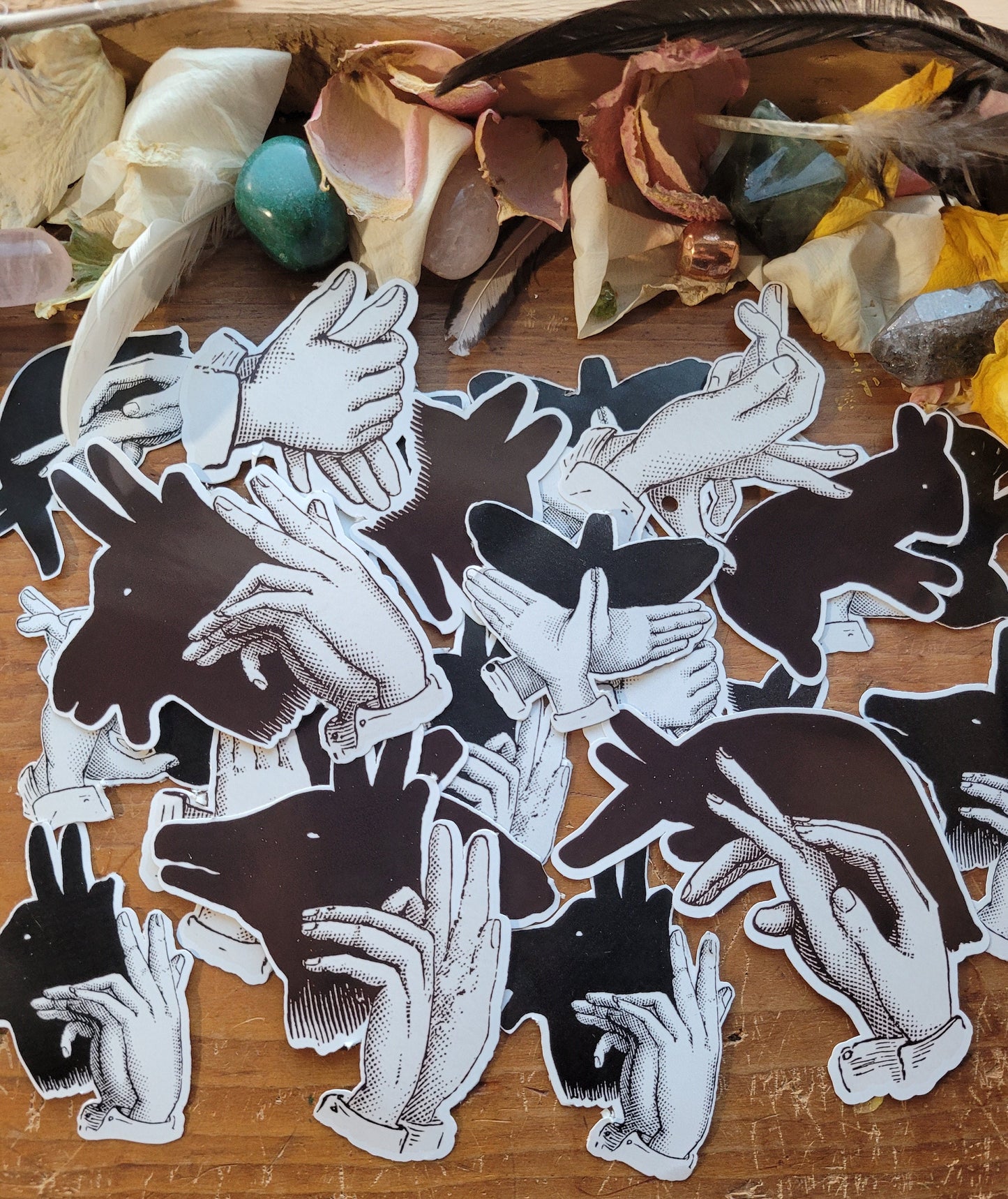 Shadow Puppet Stickers- Animal Shadows