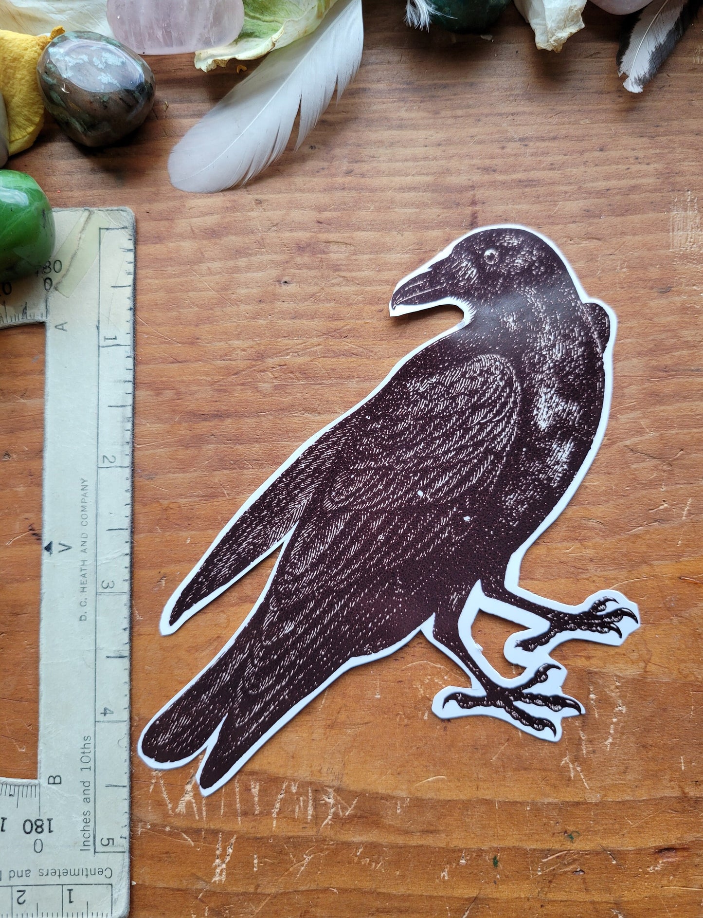 Corvid Sticker Pack Extra Large -Raven and Crows