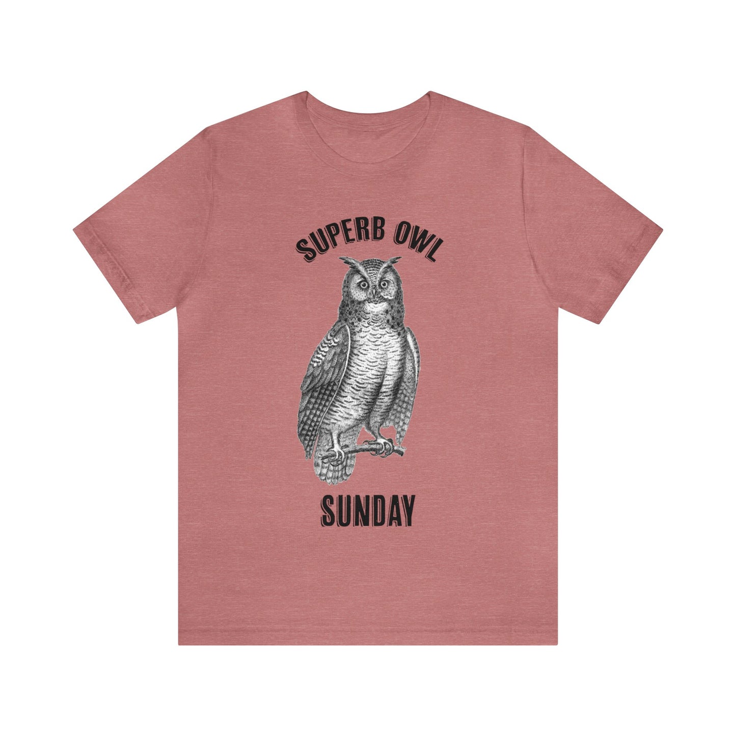 Superb Owl Sunday T-Shirt