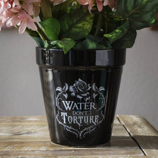 Water Don't Torture Garden Planter