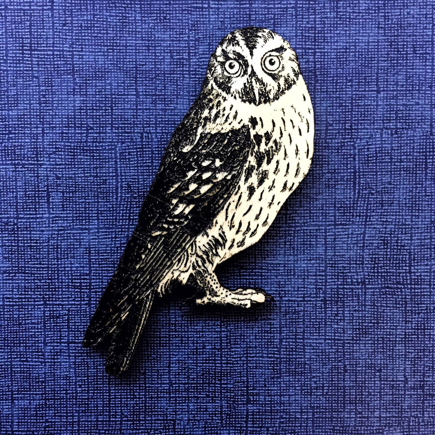 Wide Eyed Owl Magnet - Bird - Laser Cut and Engraved Wood