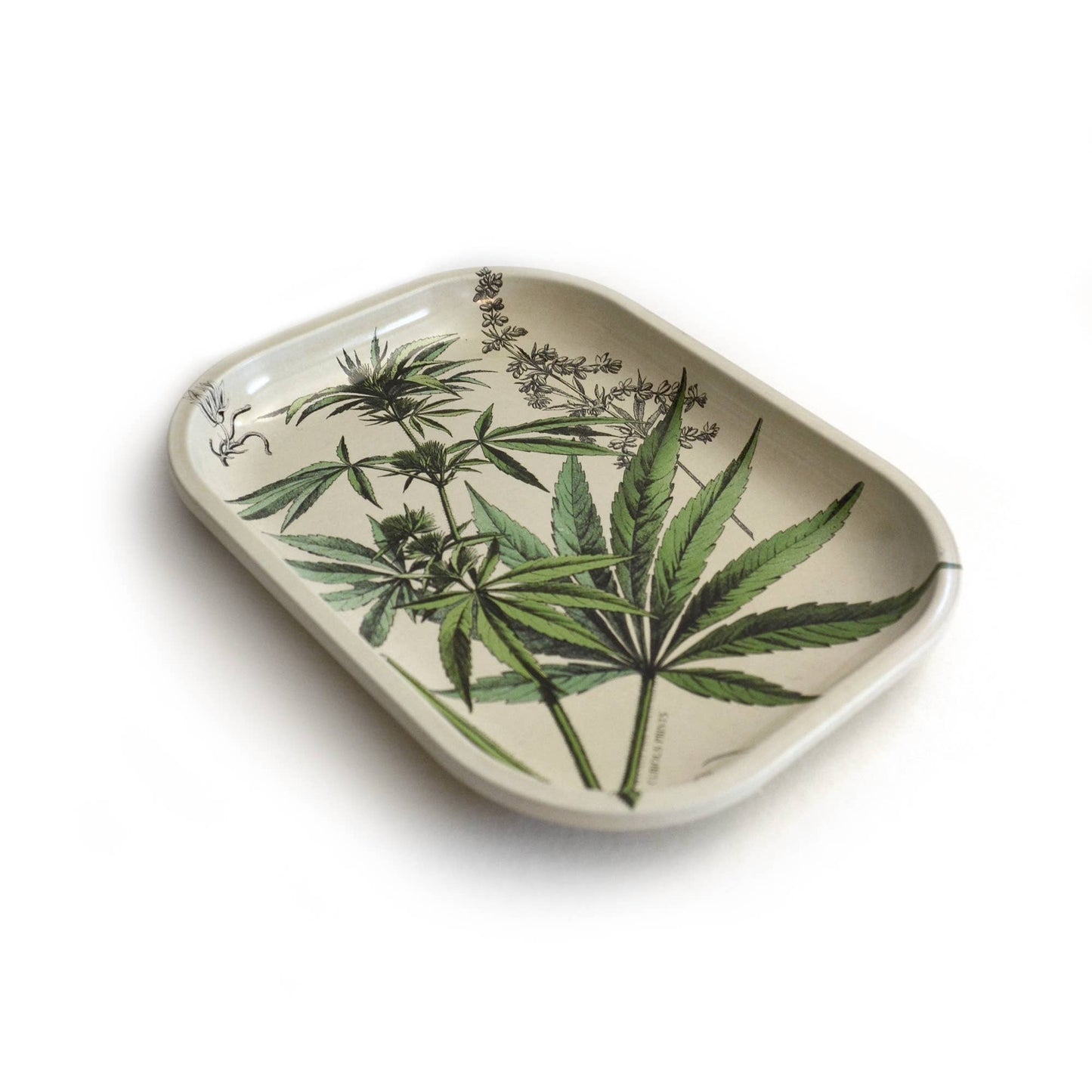 Small Metal Cannabis Ritual Tray / Vintage Botanical Print