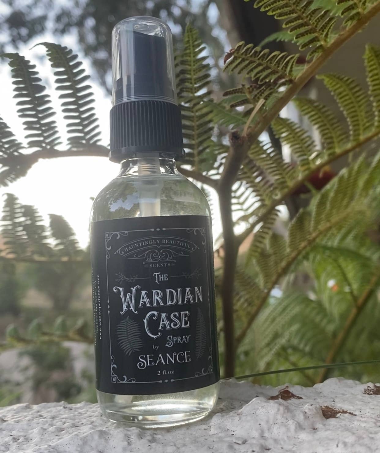 The Wardian Case Body and Room Spray- ferns