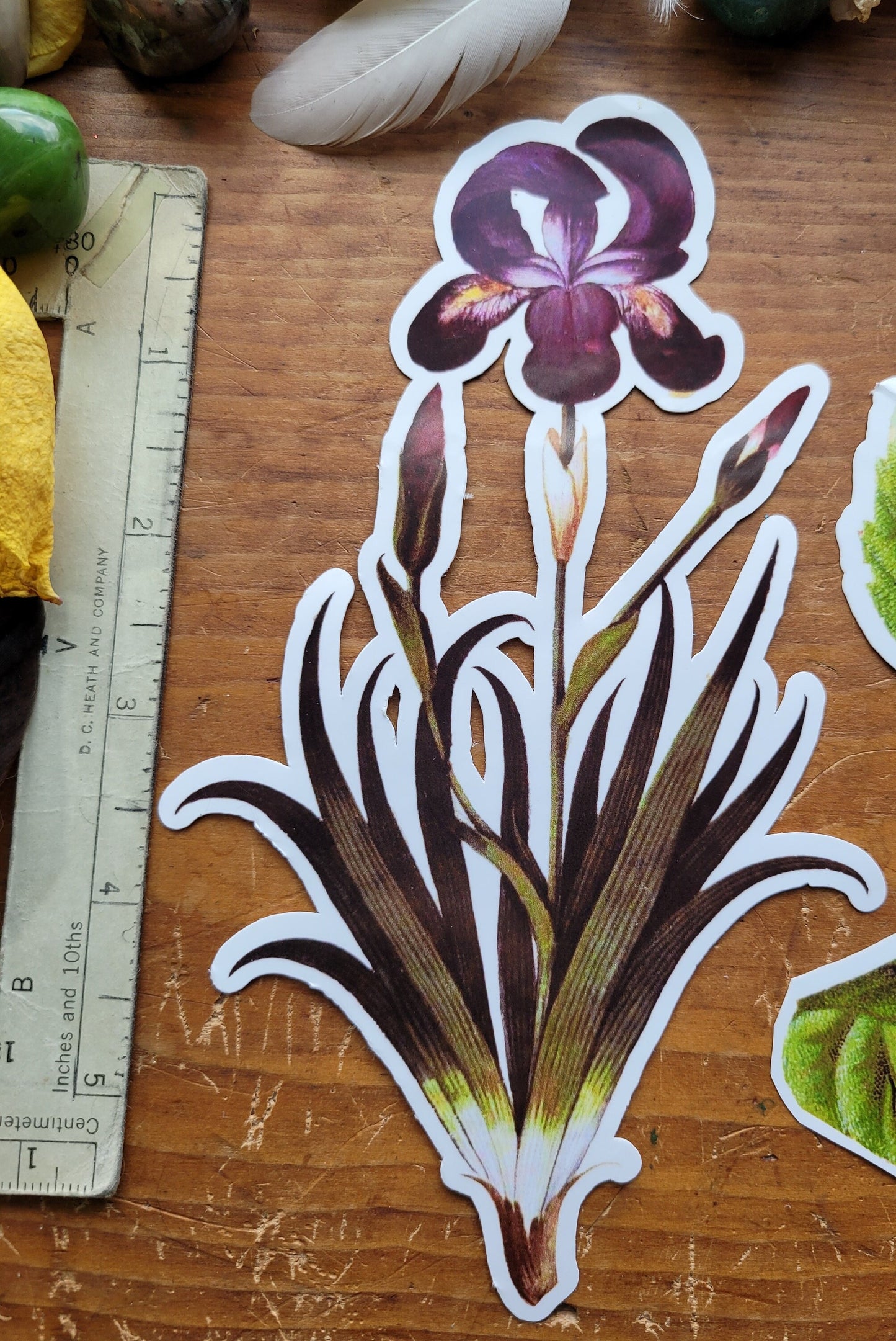 Extra Lage Flower Stickers- Sunflower and Iris