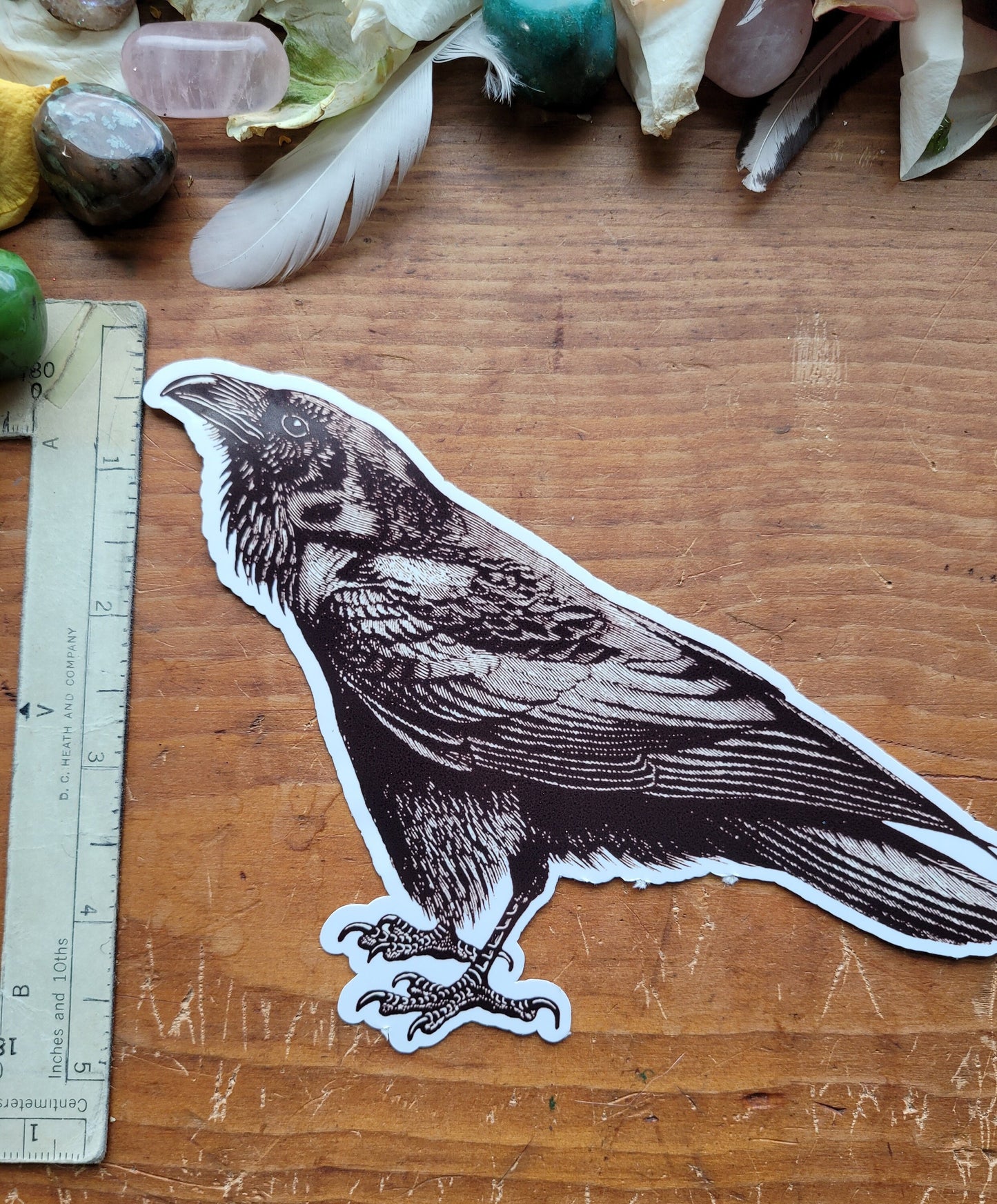 Corvid Sticker Pack Extra Large -Raven and Crows
